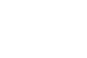 OFFICIAL SELECTION - Birsamunda International Film Awards - 2023