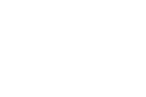 OFFICIAL SELECTION - Night Terrors Film Festival - 2024