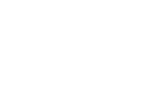 OFFICIAL SELECTION - Night of the Horror Festival - 2024